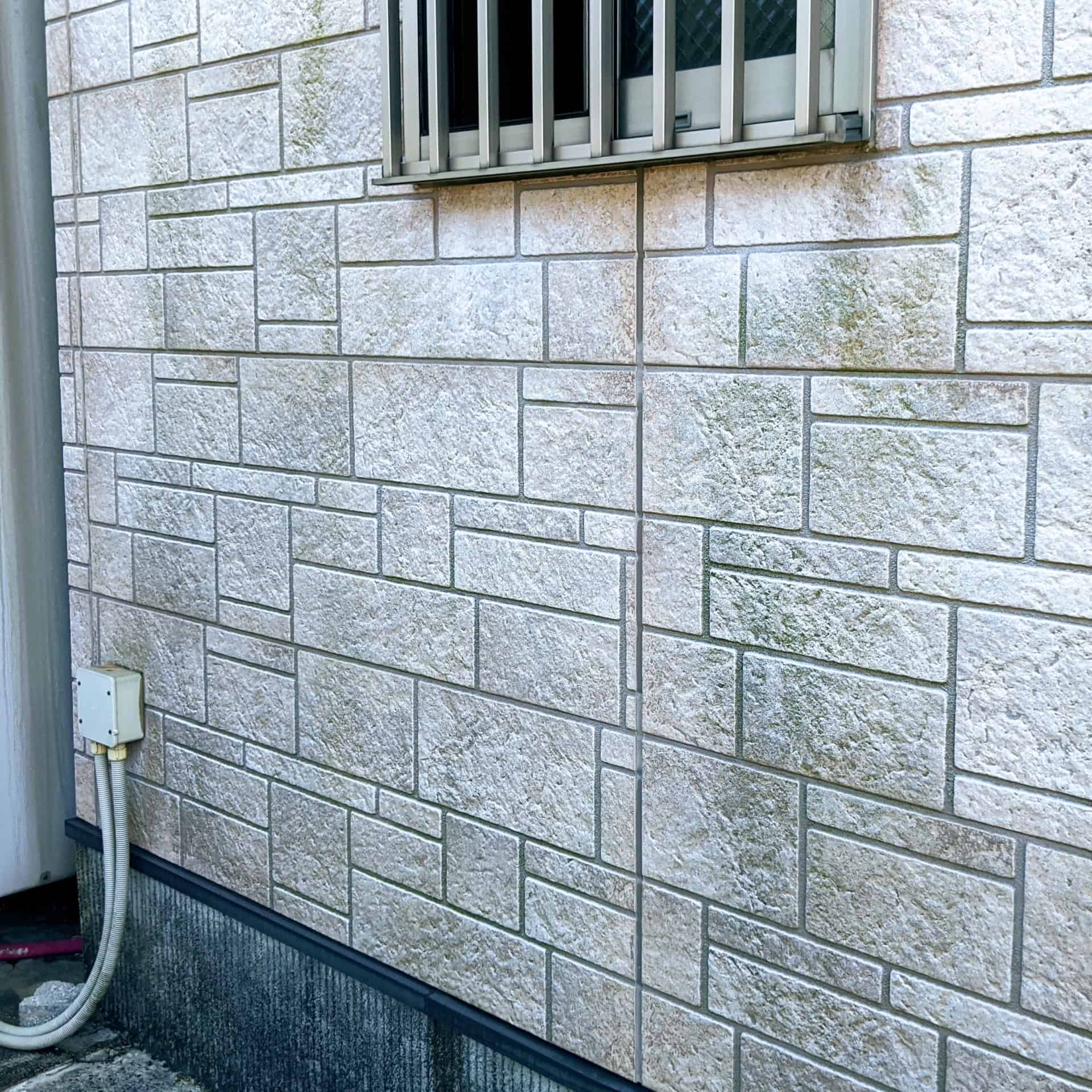 カビ・藻が目立つ